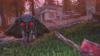 Fallout 76  Mothman slap fight [upl. by Ylhsa]