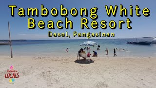 Tambobong White Beach Resort  Dasol Pangasinan  Philippine Locals [upl. by Llenad]