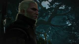 The Witcher 3  Contract Lord Of The Wood [upl. by Fassold]