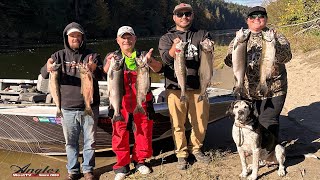 Snohomish River Smile Blade Coho [upl. by Geer]