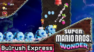 Super Mario Bros Wonder  Bulrush Express 100 All Seeds Coins  Secret Exit [upl. by Einhapets]