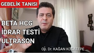 GEBELİK EN ERKEN NE ZAMAN ANLAŞILIRBETA HCG KAN TESTİİDRAR TESTLERİ VE ULTRASON İLE GEBELİK TANISI [upl. by Aiek931]