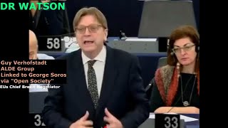 Verhofstadt Admits “Disaster for EU if UK leaves” amp Farage Demolishes Snowflake Green MEP [upl. by Ynaffets223]