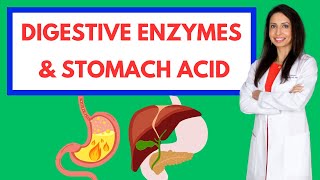 The Power of Digestive Enzymes amp Stomach Acid Fix Bloating Gas and Reflux [upl. by Attenhoj]