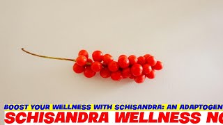 Boost Your Wellness with Schisandra An Adaptogenic Powerhouse [upl. by Iahk]