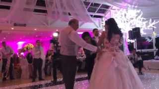 Greek Wedding Money Dance  Antonis and Marianna [upl. by Katerine473]