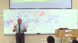 embryologydrgamal 3rd lecture [upl. by Lenny284]