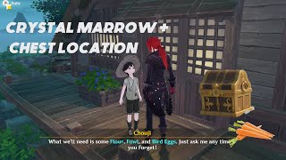 Crystal Marrow Quest  investigation location no chest  Genshin Impact Inazuma [upl. by Rabbi816]