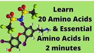 The 20 Amino Acids and Essential Amino Acids Mnemonic [upl. by Josephson]