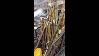 how we peel sugarcane [upl. by Ansley99]