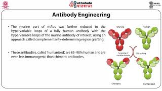 Antibody Therapy [upl. by Emoreg]