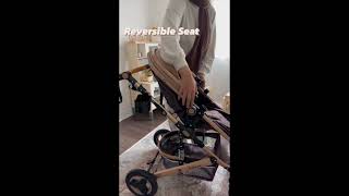 Canadian Luxury Baby Stroller from Ecohunchbaby [upl. by Eiser]