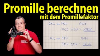 Promille berechnen mit Faktor  einfach erklärt  mehrere Übungen  Lehrerschmidt [upl. by Goldman]