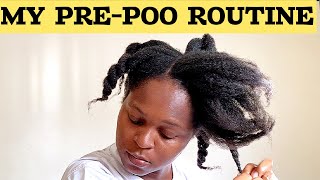 HOW I PREPOO MY NATURAL HAIR FROM START TO FINISH  NATURAL HAIRCARE TIPS [upl. by Reisinger]