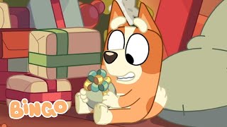 Bingo at Christmas 🎅 🧡  Best Festive Bluey and Bingo Moments ✨  Bingo  Official Channel [upl. by Mccutcheon643]