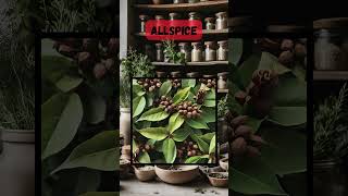 How to Use Allspice for Natural Healing  Powerful Plant Remedies herbalremedies holistichealth [upl. by Ferguson]