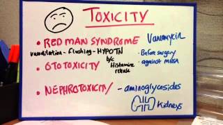 Toxicities  Red man syndrome Nephrotoxicity aminoglycosides vancomycin [upl. by Ymmit331]