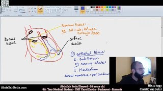 أنواع أنسجة القلب Different tissues of the heart CVS 1 of 8  عبد الله رضا MD [upl. by Bez]