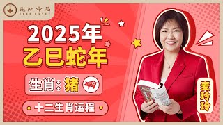 麦玲玲师傅详解2025蛇年运程：生肖猪！事业运、财运、人际关系、爱情、婚姻、健康全解析！ [upl. by Aicila]