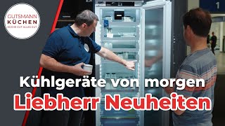 Smarte Liebherr Kühlgeräte – Kühlschränke NoFrost amp Sprachsteuerung  IFA 2024 [upl. by Adnihc97]