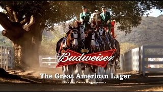 10 Famous Budweiser Super Bowl Commercials [upl. by Chill375]