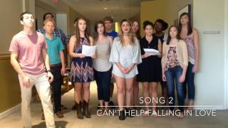 Standing Room Only 2017 ICCA Audition Video [upl. by Fazeli]