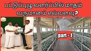 SericultureSilkworm Farmingபட்டுப்புழு வளர்ப்புSericulture TamilnaduIntegrated farmingPart 1 [upl. by Eniamzaj]