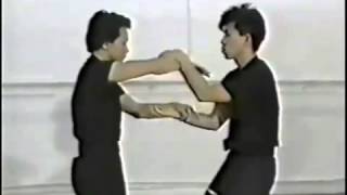 Very good Wing Chun Sticky hand technique with Sifu Chow [upl. by Uolyram646]