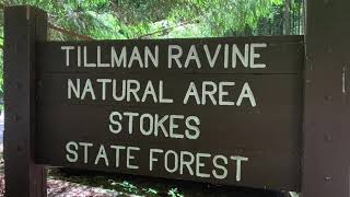 Hiking Tillman Ravine in Stokes State Forest in NJ [upl. by Annawaj]