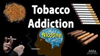 Tobacco Addiction Nicotine and Other Factors Animation [upl. by Ratna]