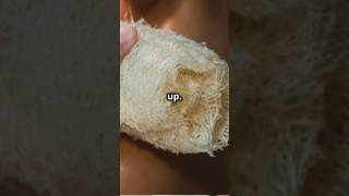 From Plant to Sponge The Loofah Journey [upl. by Fidellas]