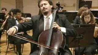 HaydnCello Concerto in C Major Part 2 William Molina CestariCello [upl. by Rees]