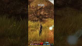 Guild Wars 2 Tales of the Lowland Wisps MASTERY POINT shorts guildwars2 gw2 [upl. by Body455]