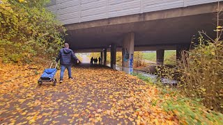 Wunderschöne Herbstnatur in Winterthur Schweiz [upl. by Elicec719]