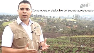 Deducible del Seguro Agropecuario [upl. by Arok113]