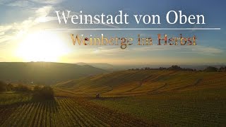 Weinstadt von Oben  Weinberge im Herbst [upl. by Akenot]