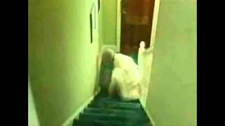 Coronation Street  Blanche Falls Down Stairs Dramatic Cut [upl. by Marcus]