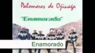 Los Palomares De Ojinaga  Tu Necesidadwmv [upl. by Juliet]