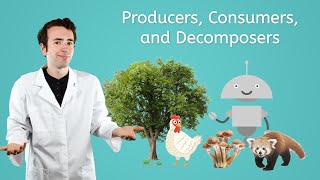 Producers Consumers and Decomposers  General Science for Kids [upl. by Terces584]