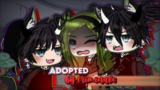 Adopted by CRIMINALS ⁉️  Gacha Life  GLMM  Mini Movie  ORIGINAL [upl. by Rehpotsirh]