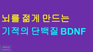 뇌를 젊게 하는 기적의 단백질 BDNF [upl. by Chari]