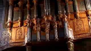 Bombardes of Albi Cathedral organ [upl. by Hanimay631]