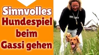 ►► Hundespiele ✔ Sinnvolle Hunde Spiele beim Gassi gehen  Stephanie Salostowitz ✔✔ [upl. by Wyatt]