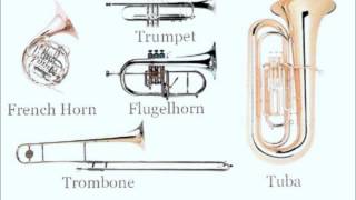 Instrument Families [upl. by Irrot]