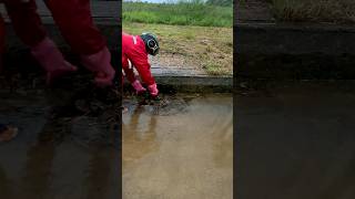 Floodgate Fiasco  Rescuing Stuck Culverts 🚧 [upl. by Christmas]