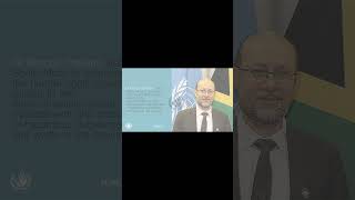 DIRCO Special Procedures dffetv animation [upl. by Lira]