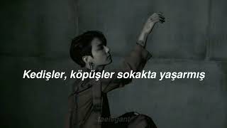 JUNGKOOK AI COVER • DERİNDEN DERİNDEN [upl. by Nimajneb]