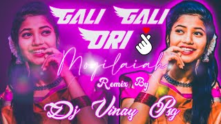 Gali Gali Ori Mogilaiah Remix By Dj Vinay Psg trending 2024 telugu dj song Folk Dj Songs [upl. by Carthy]