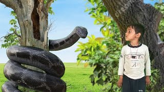 snake video  black anaconda  snake movie [upl. by Athenian177]