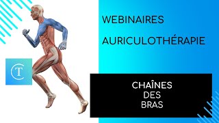 WEBINAIRE AURICULOTHÉRAPIE  CHAÎNES MUSCULAIRES  LES 4 CHAÎNES DES BRAS Extrait 5 webinaire [upl. by Zahc]